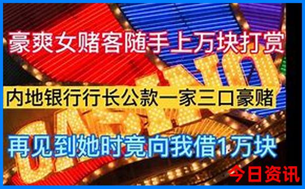 浙江哪个城市夏天凉快